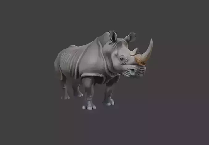 Rhino Stance