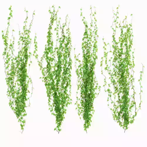 4 model curly leaf wall