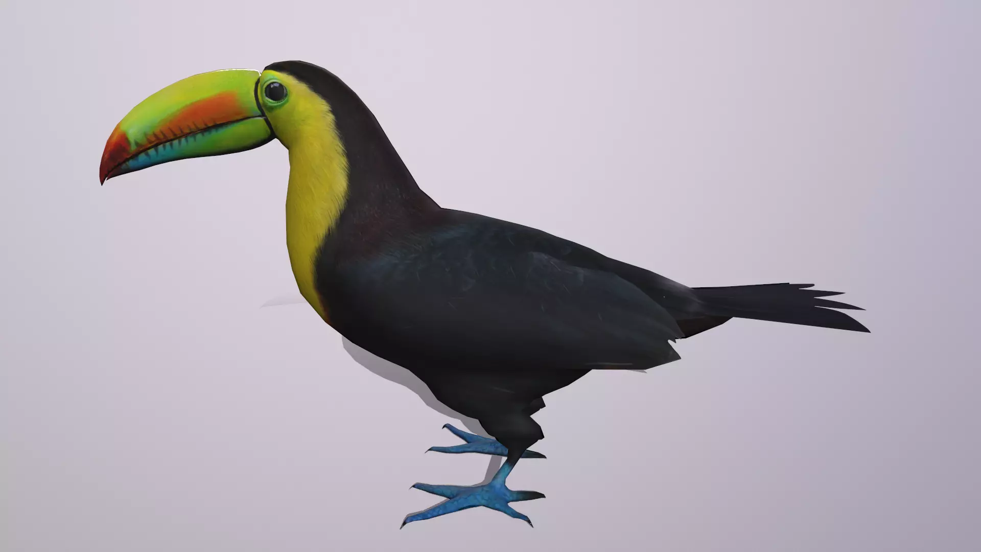 Toucan Low-poly 3D model