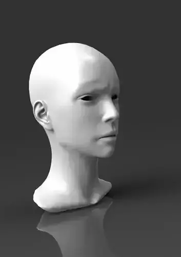 Detailed head 5