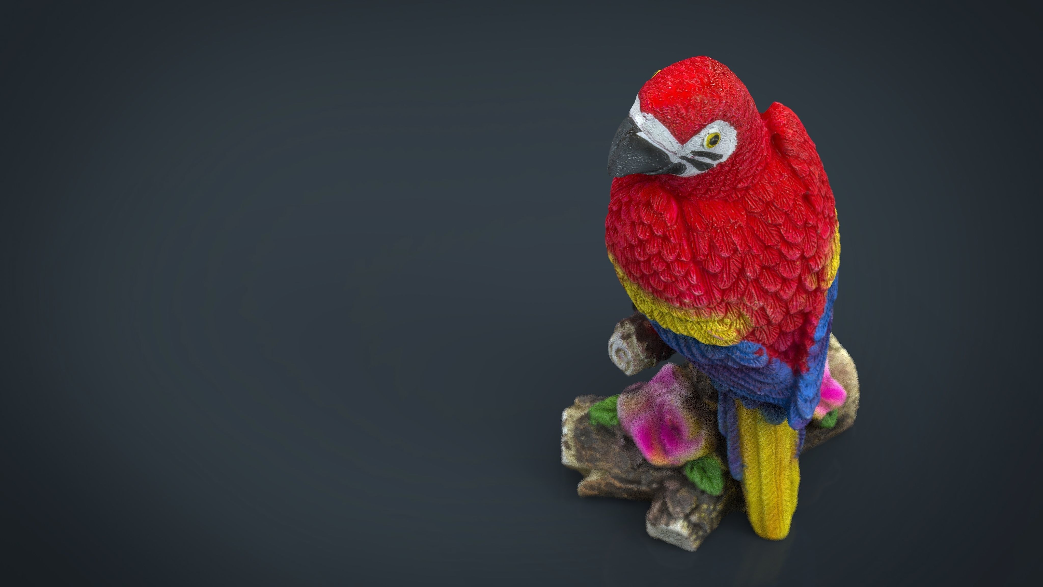 Red Parrot Low-poly 3D model_2
