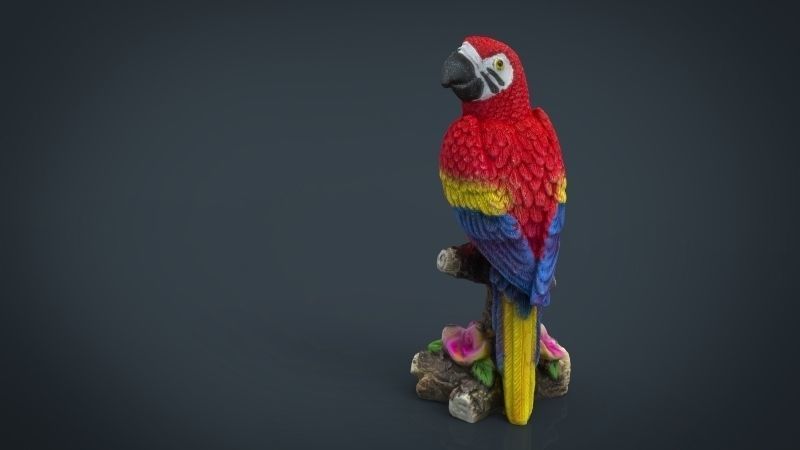 Red Parrot Low-poly 3D model_4