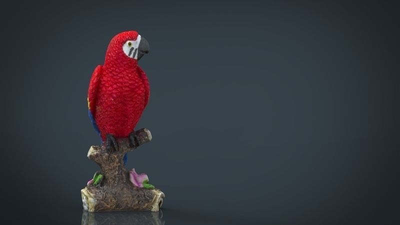 Red Parrot Low-poly 3D model_3