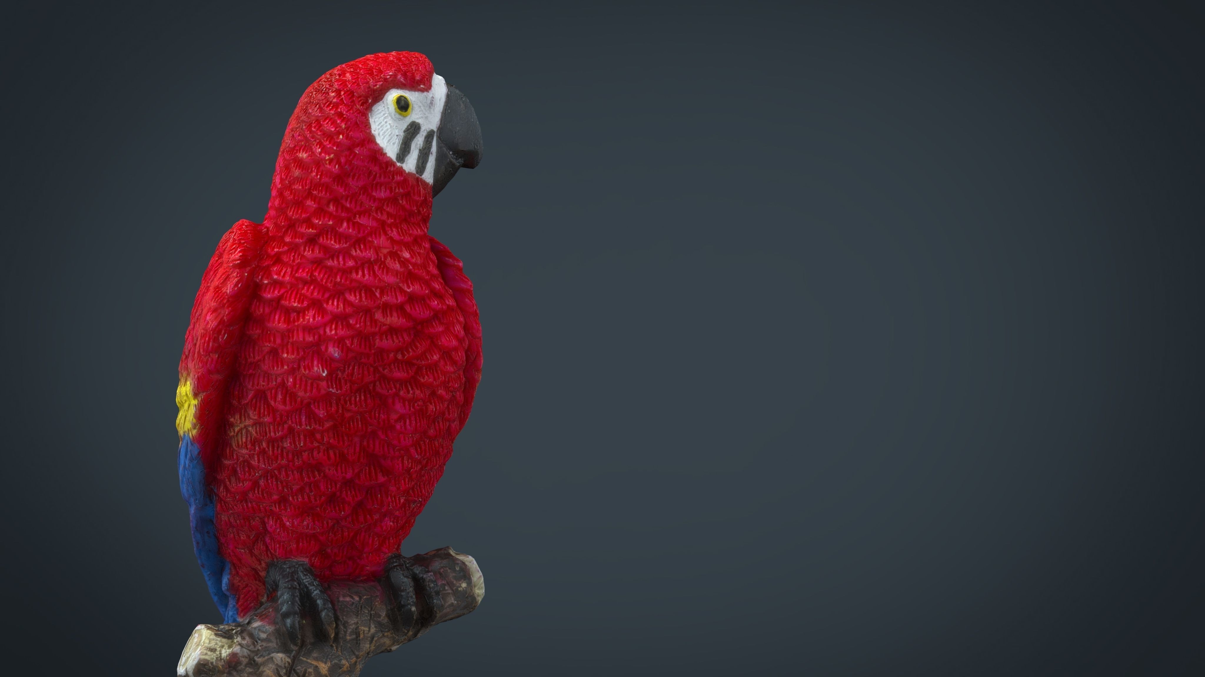 Red Parrot Low-poly 3D model_15