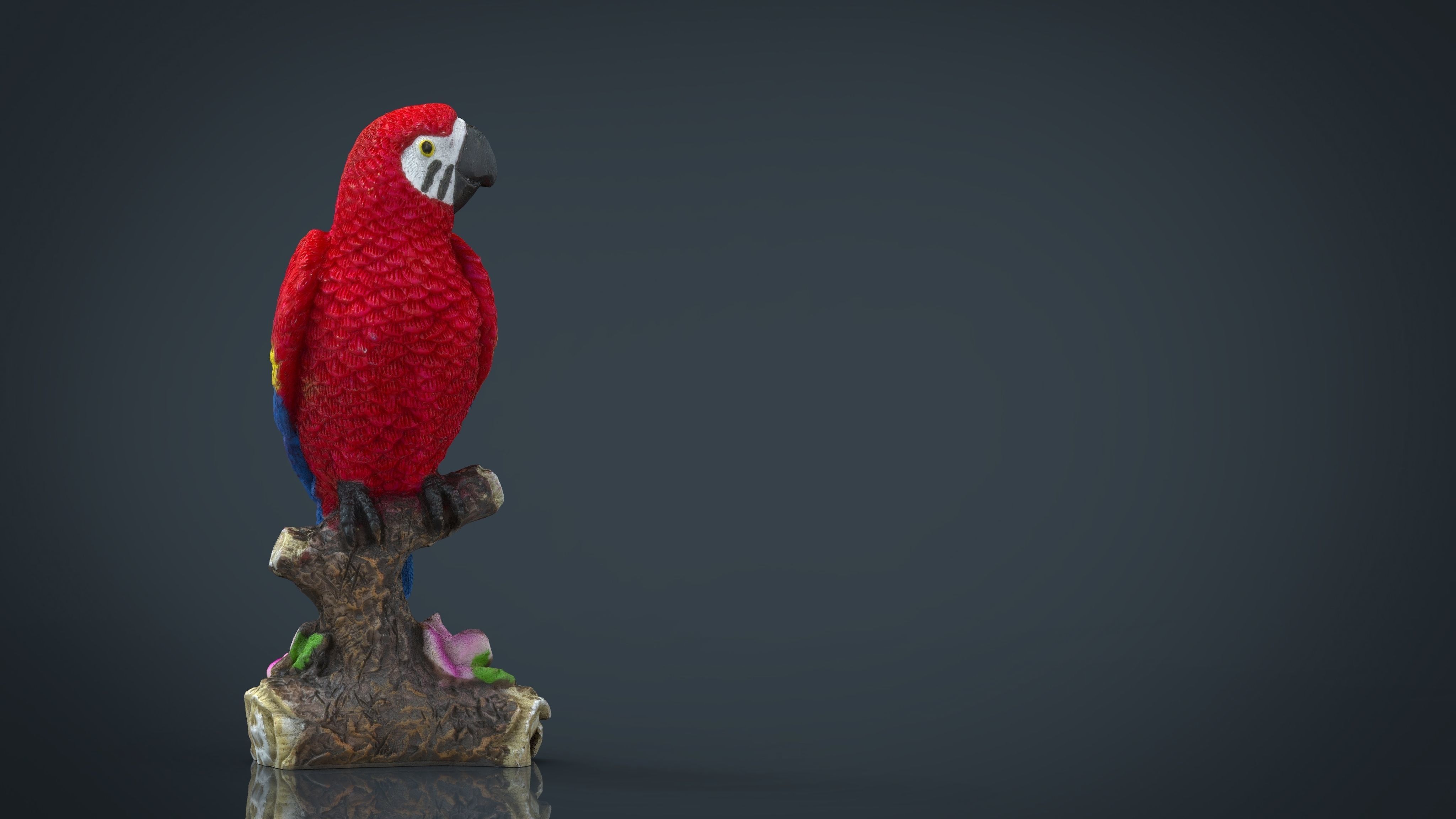 Red Parrot Low-poly 3D model_16