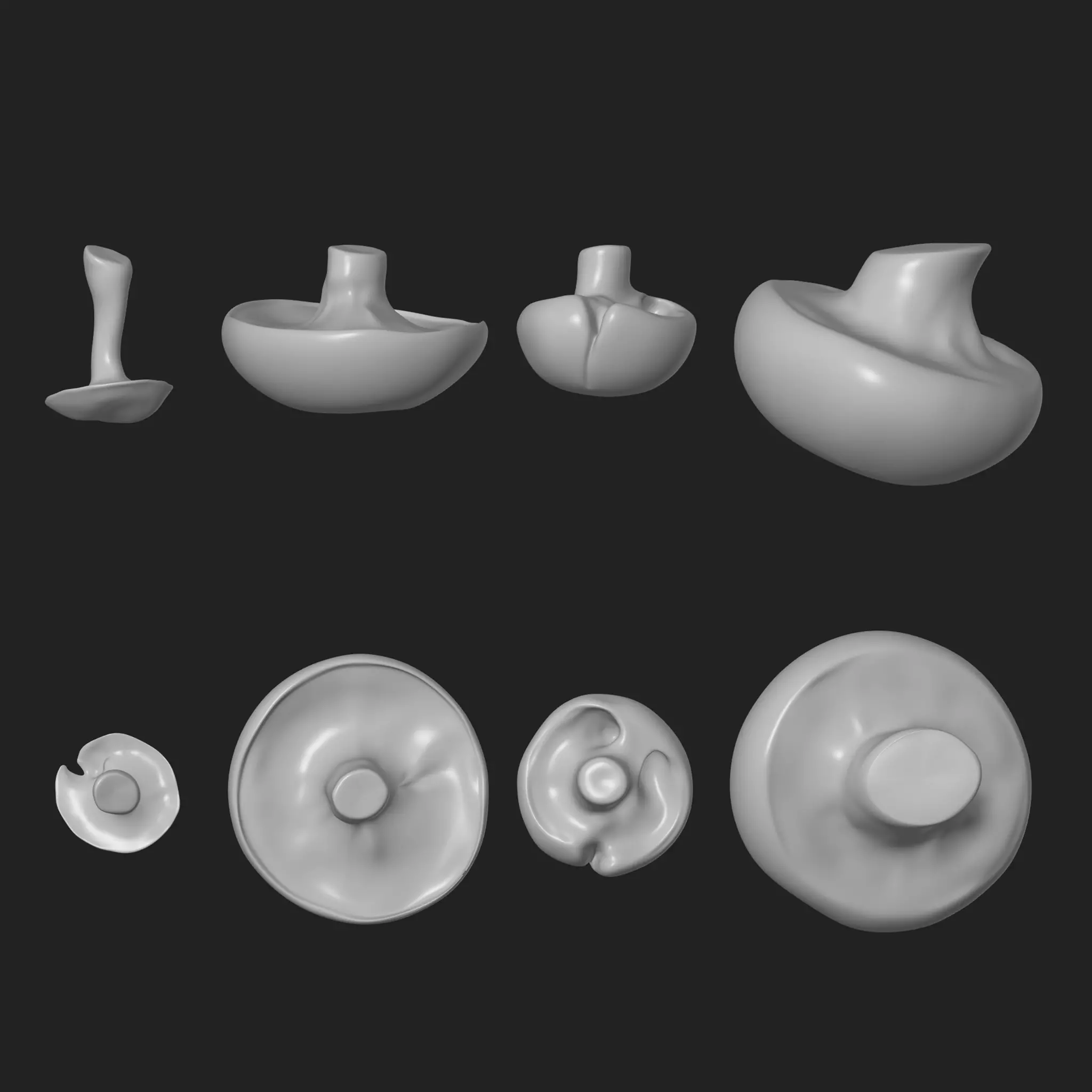 Wild Mushrooms 3D print model