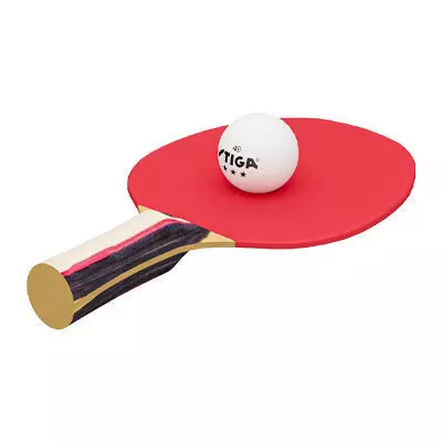 STIGA 4-Player Performance Ping Pong Set 3D model