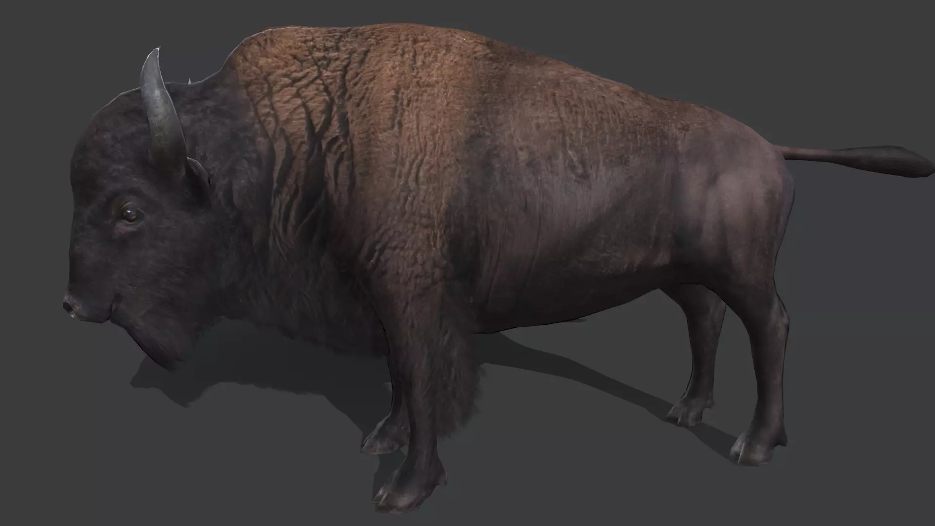 European Bison Low-poly 3D model