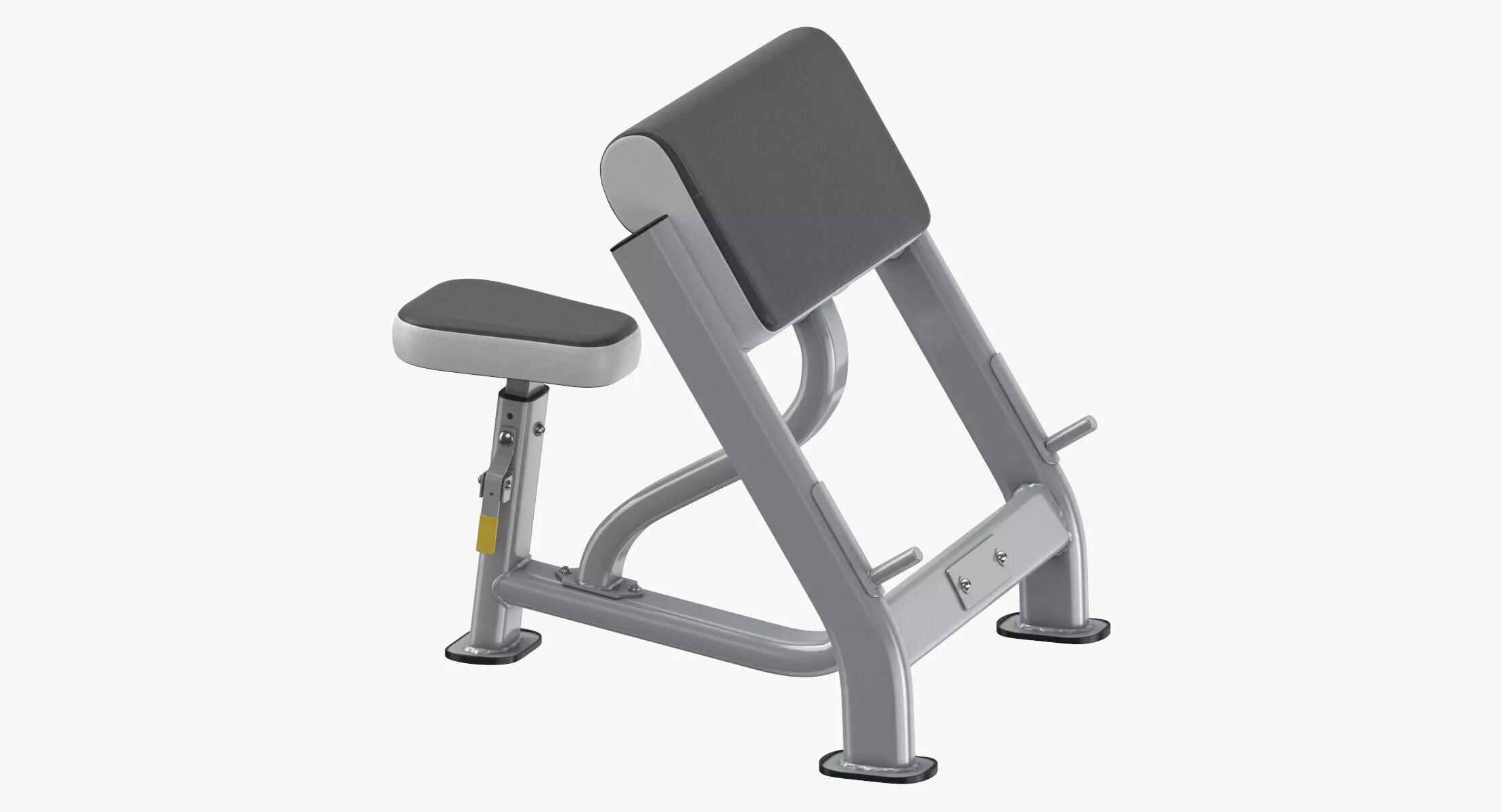 Seated Preacher Curl 3D model