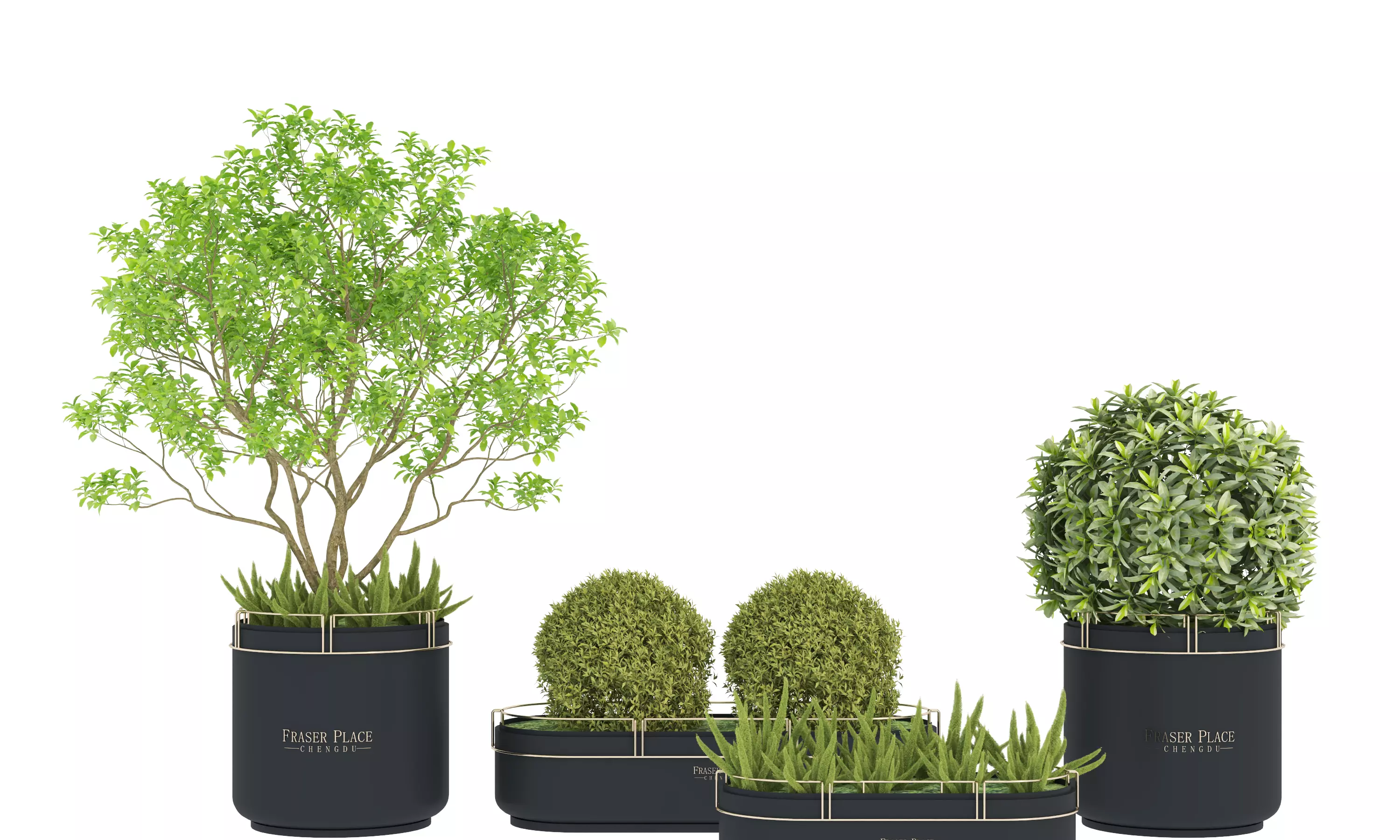 Modern Indoor Plants Low-poly 3D model