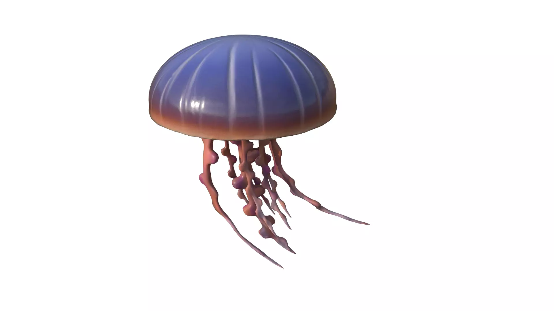 Jellyfish Low-poly 3D model