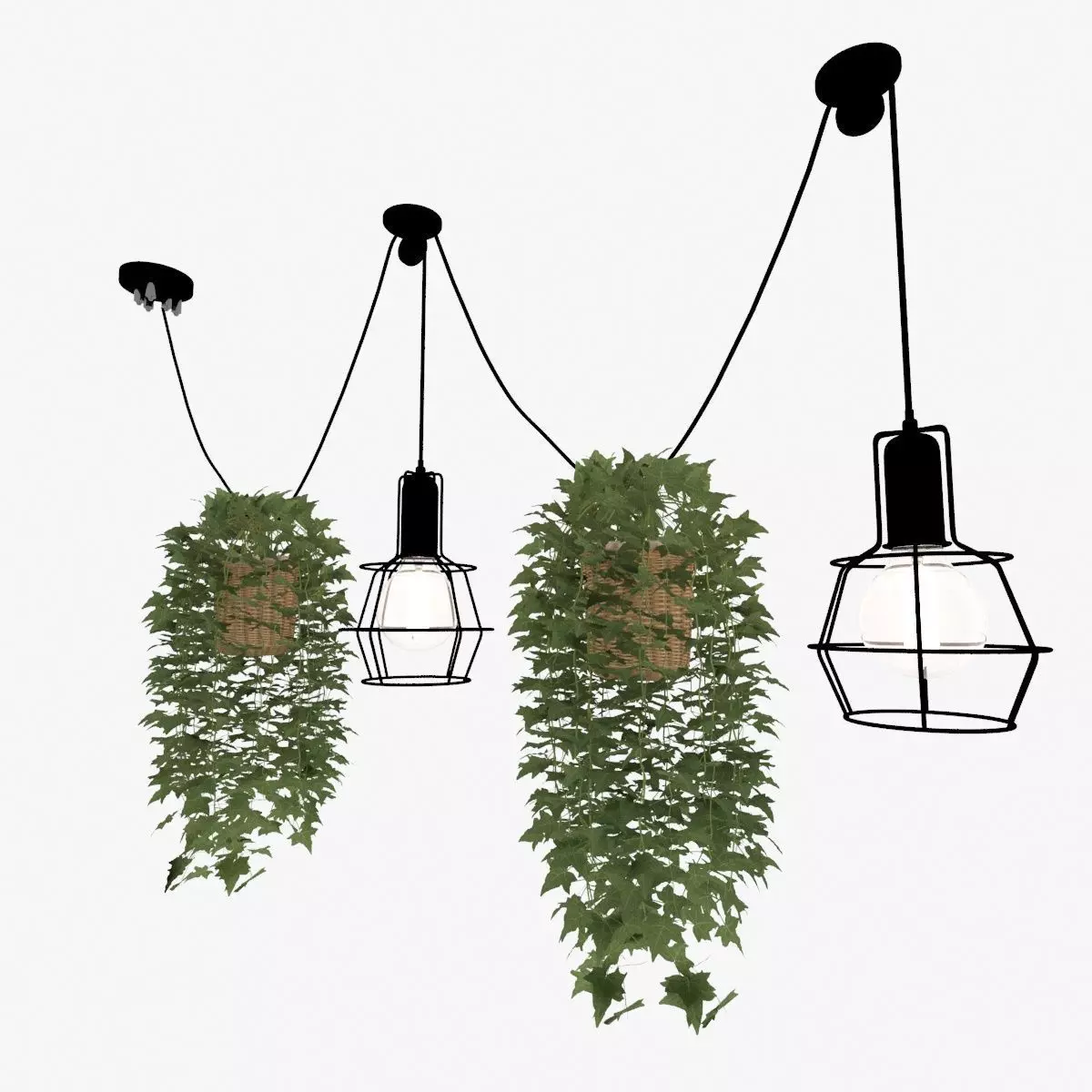 Hanging Decorative Set of Lamps and Potted Plant 3D model