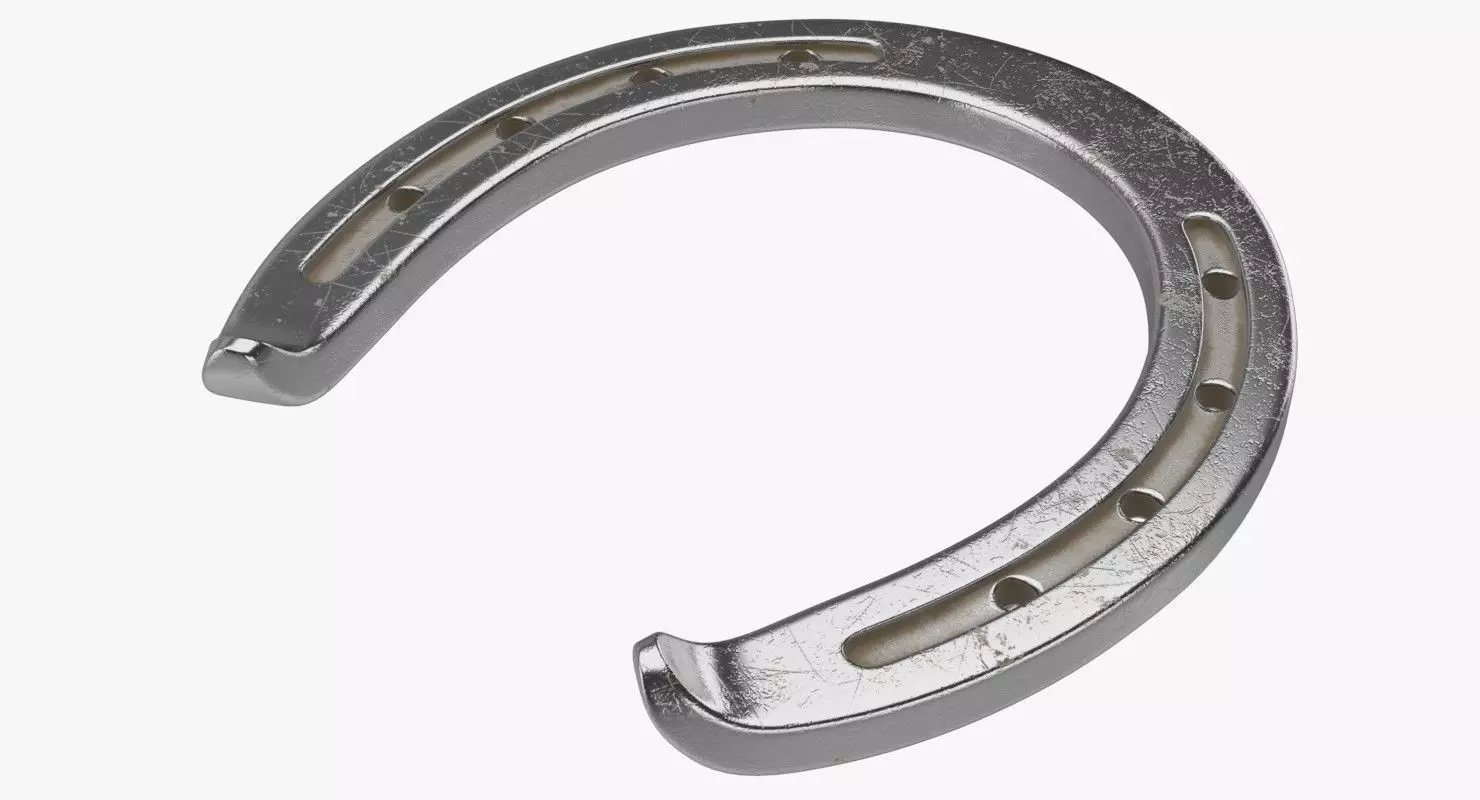 Horseshoe 2 Textured 3D model_0