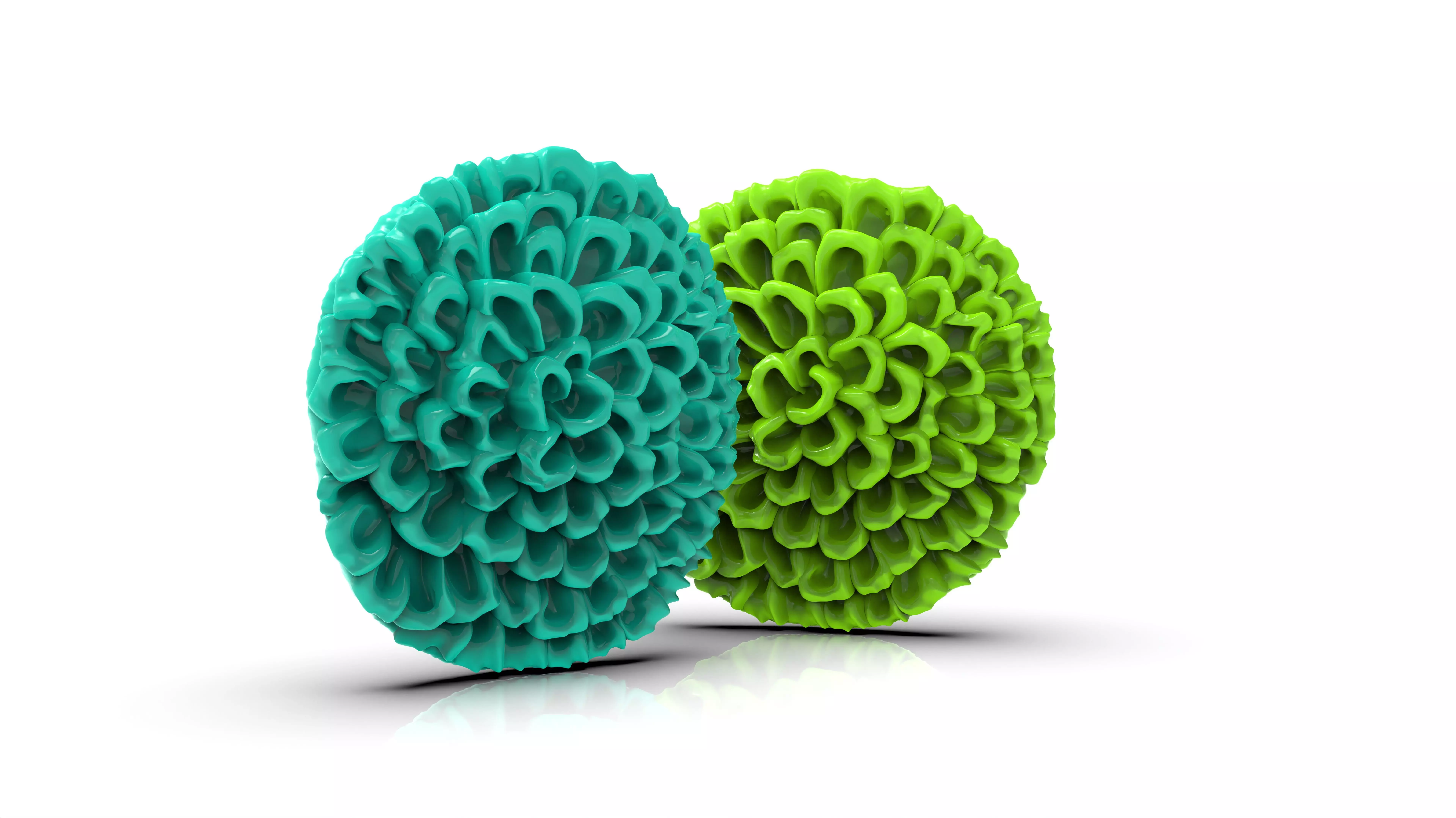 STANDALONE DAHLIA FLOWER PRINT READY 3D MODEL 3D print model