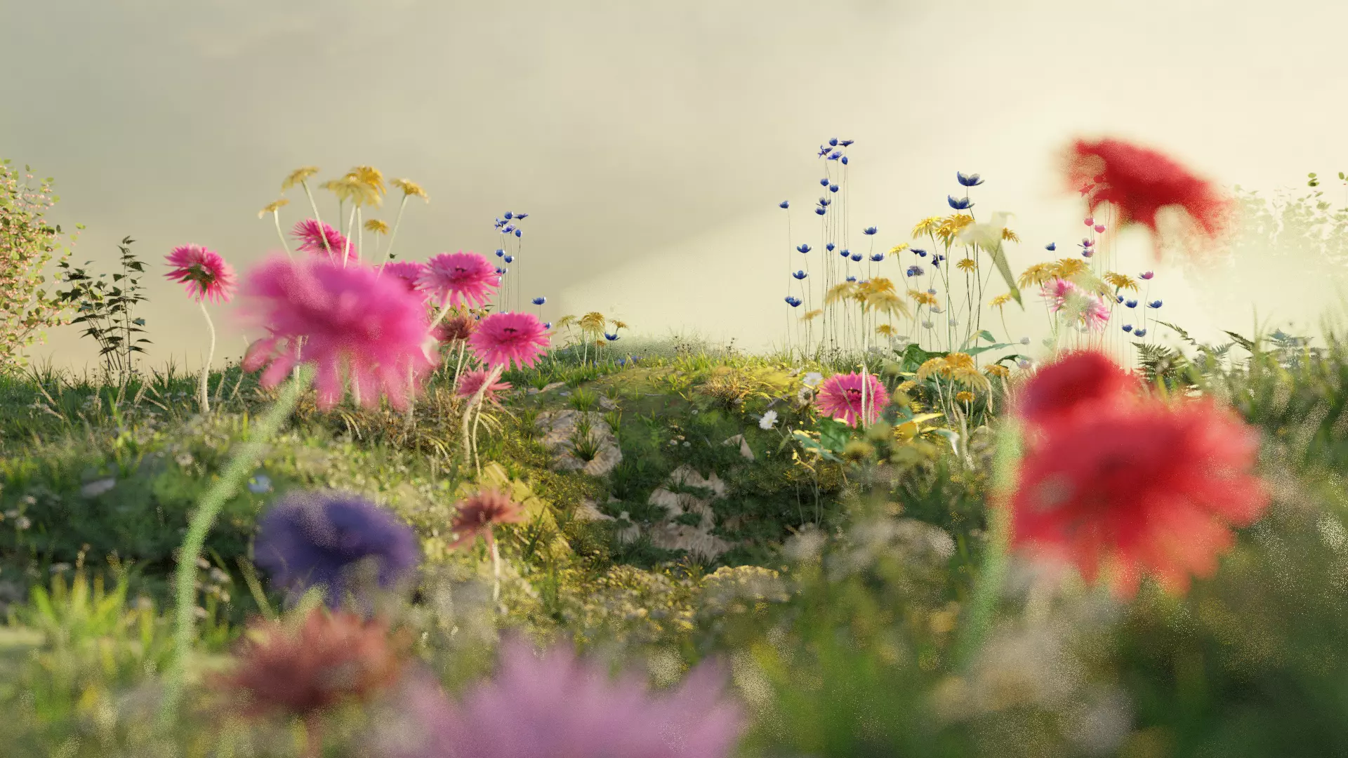 Floral Feel Scene - Dreamy Wildflower Meadow Low-poly 3D model