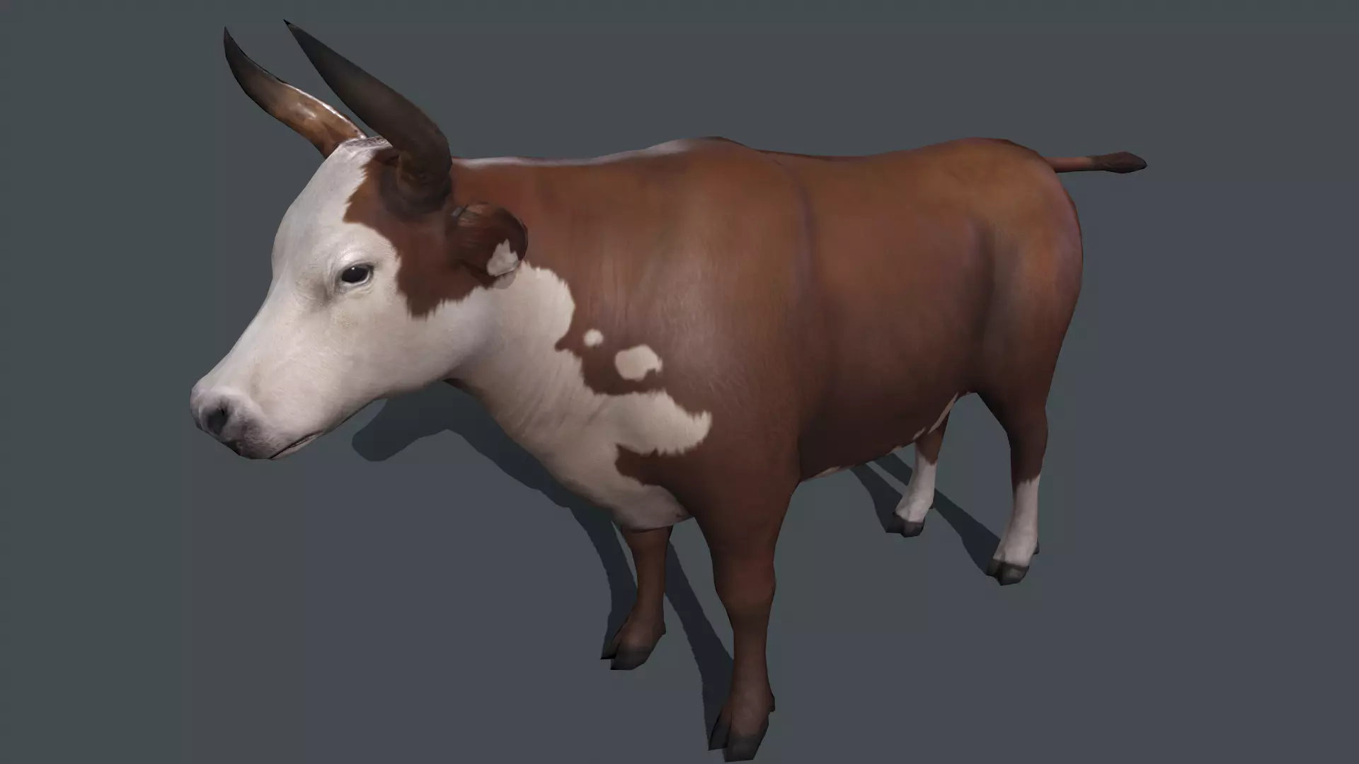 Spotted cow Low-poly 3D model