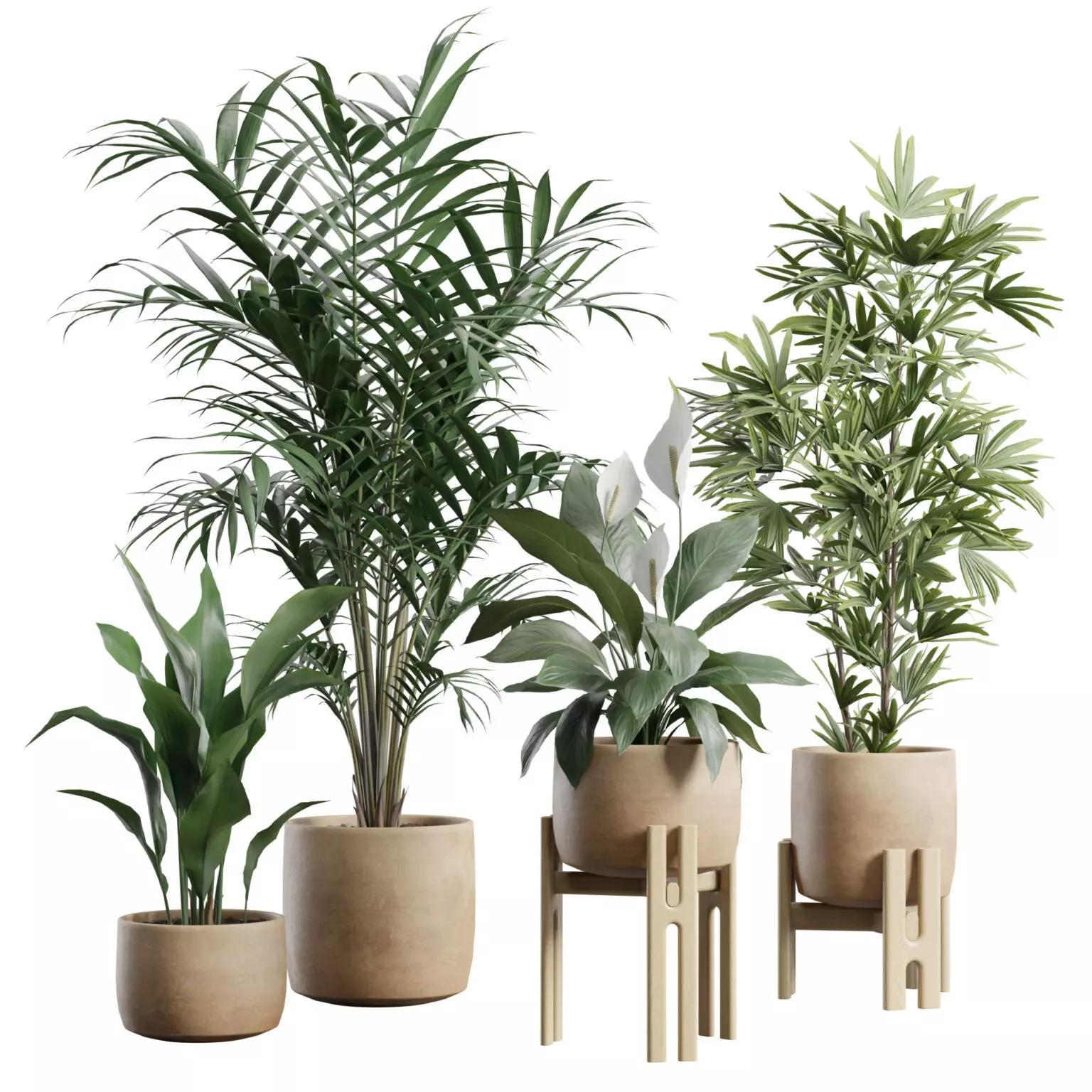 Indoor Plants Pack 109 3D model