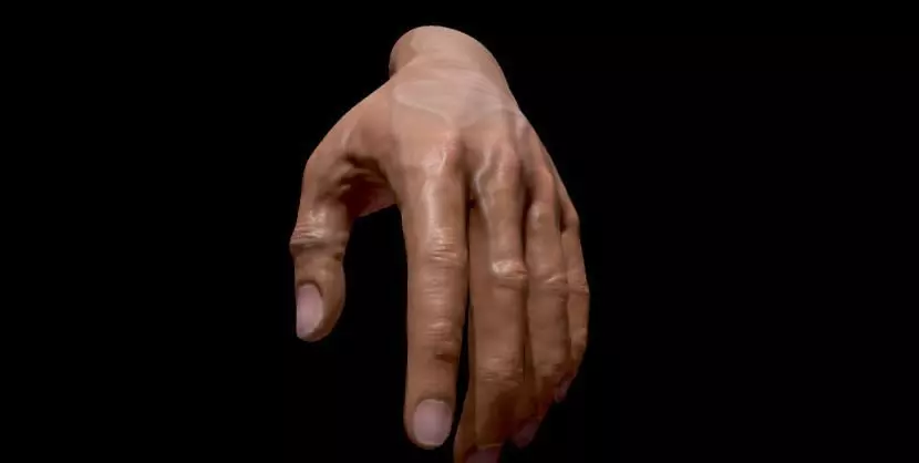 Realistic Human Hand Detailed Anatomy Rigged Hand Low-poly 3D model