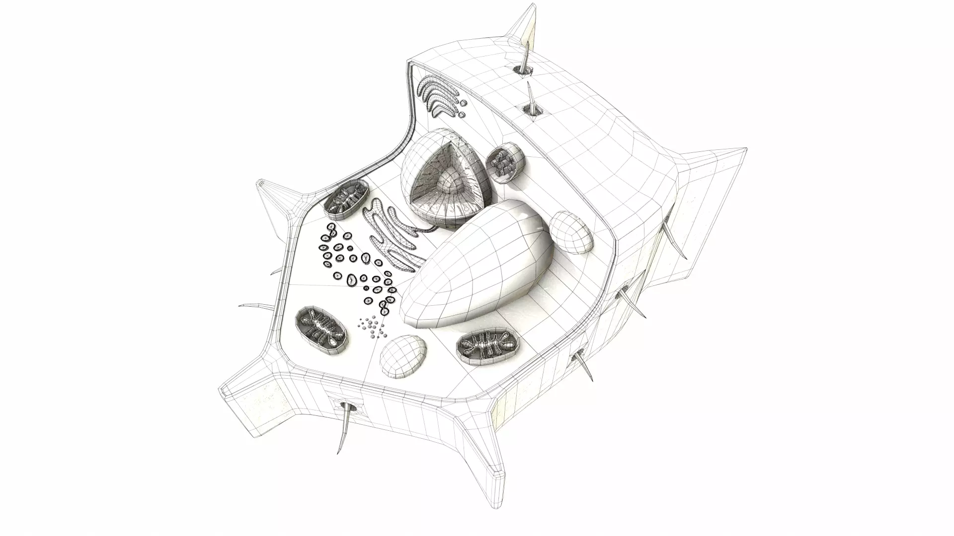 SDBFGNH Low-poly 3D model