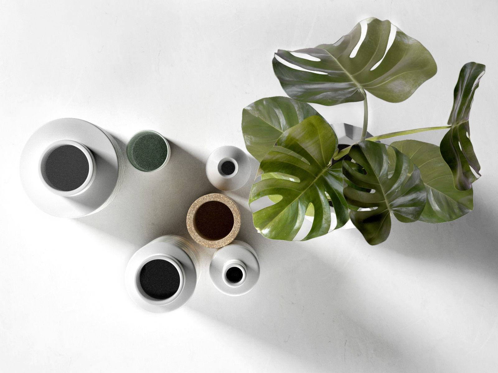 Vase Set with Monstera Plant 3D model_2