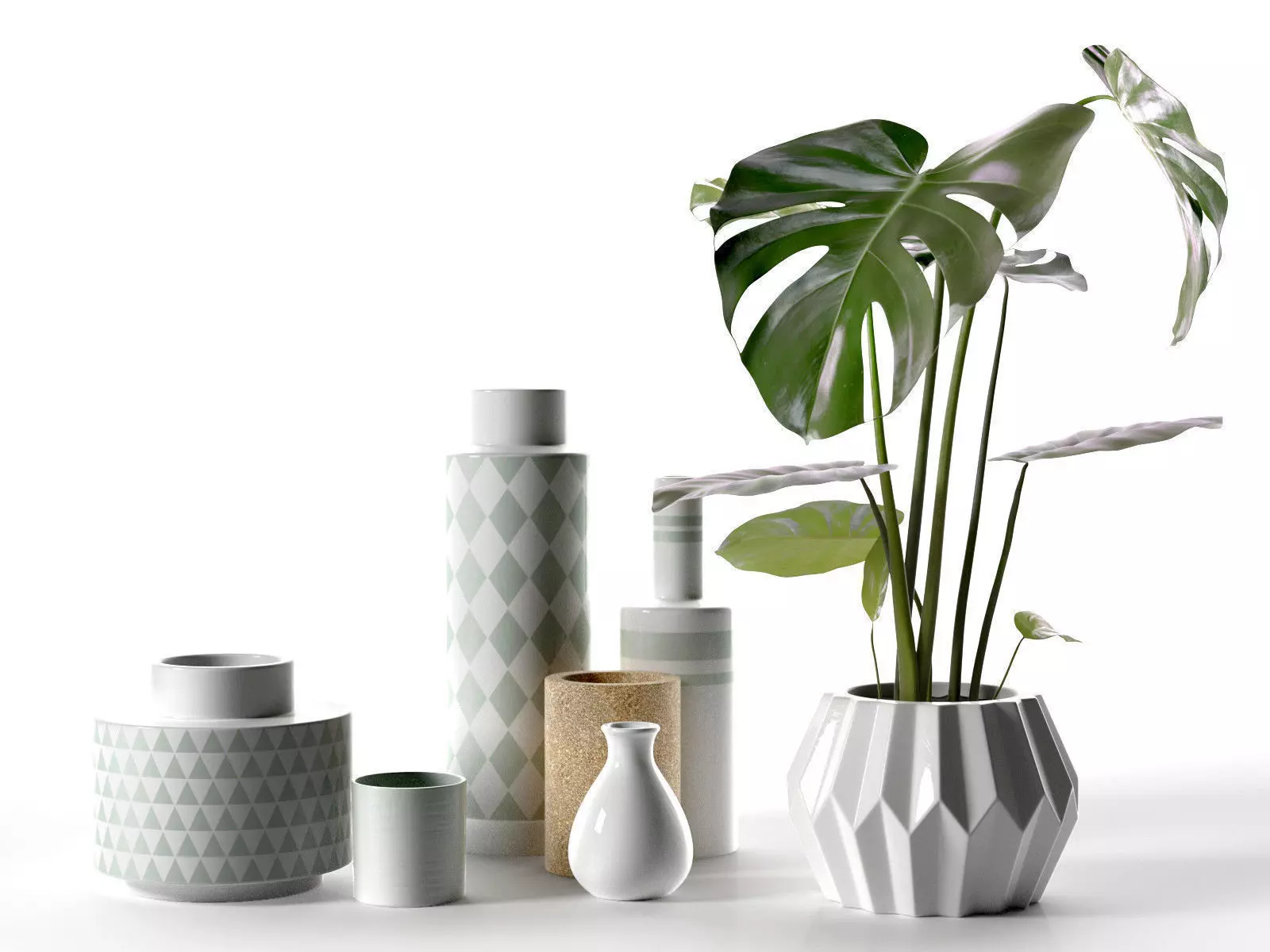 Vase Set with Monstera Plant 3D model_0