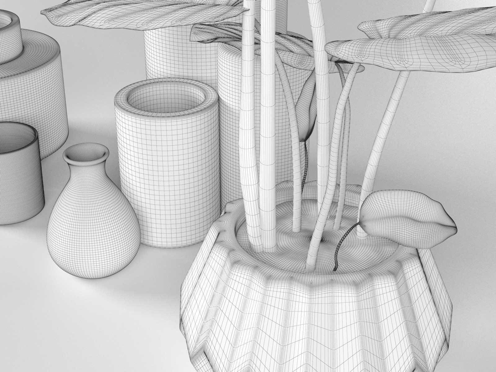 Vase Set with Monstera Plant 3D model_4