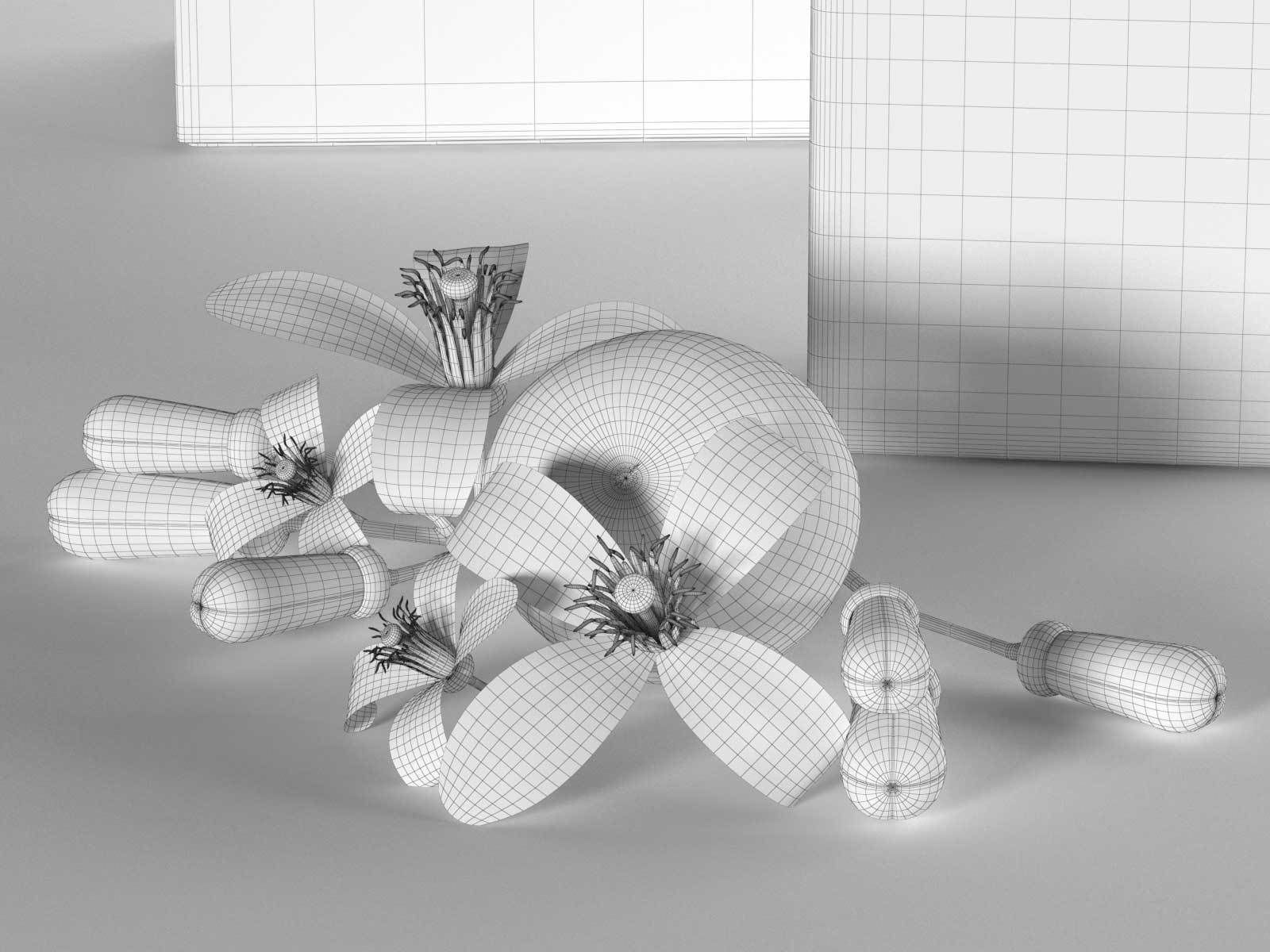 Jouany Perfume 3D model_4