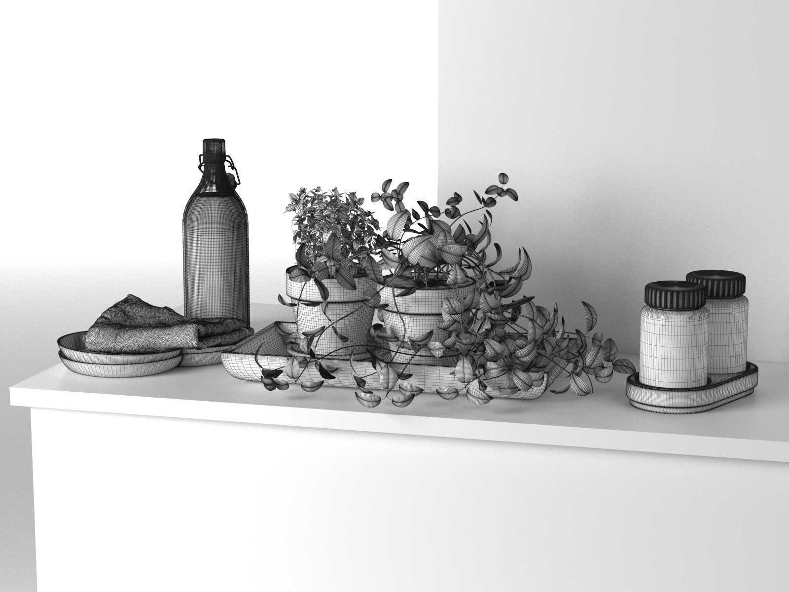 Bowls Napkin Bottles and Pots with Plants 3D model_3