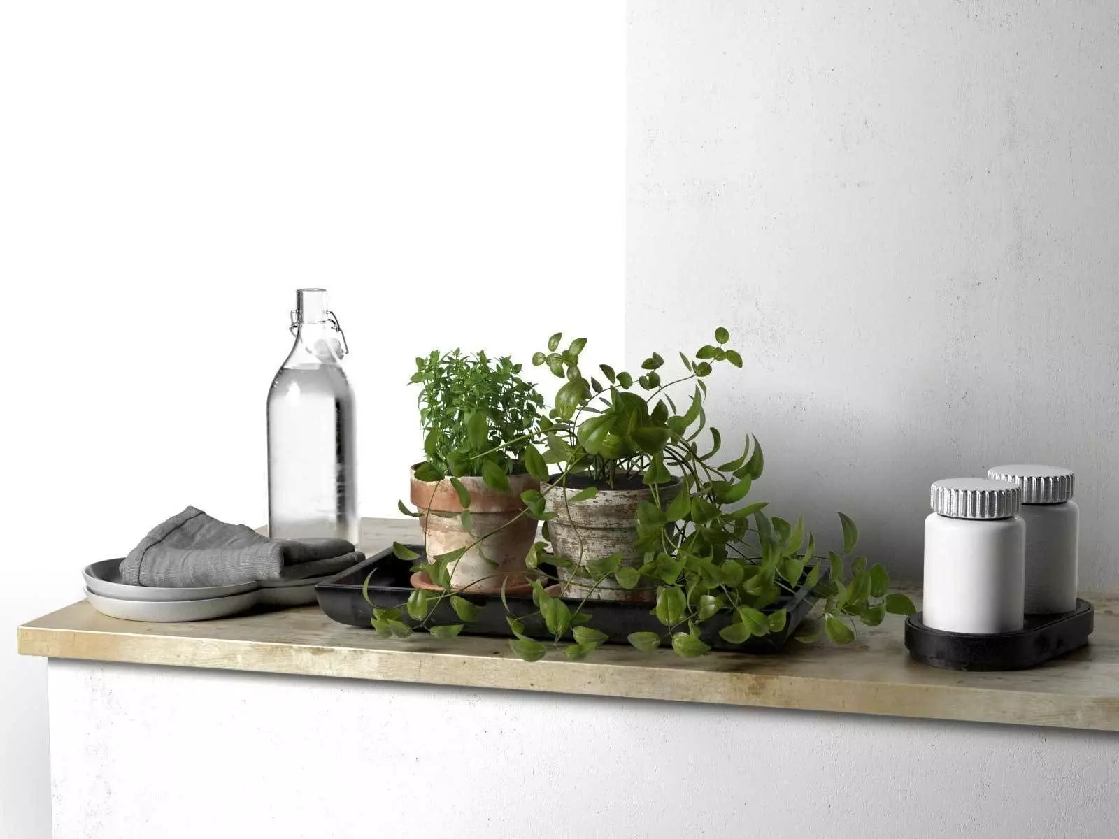 Bowls Napkin Bottles and Pots with Plants 3D model_0
