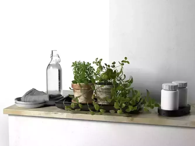 Bowls Napkin Bottles and Pots with Plants 3D model