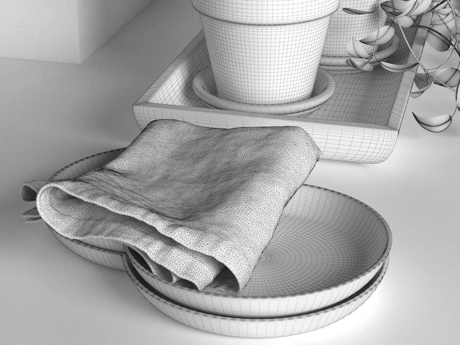 Bowls Napkin Bottles and Pots with Plants 3D model_4