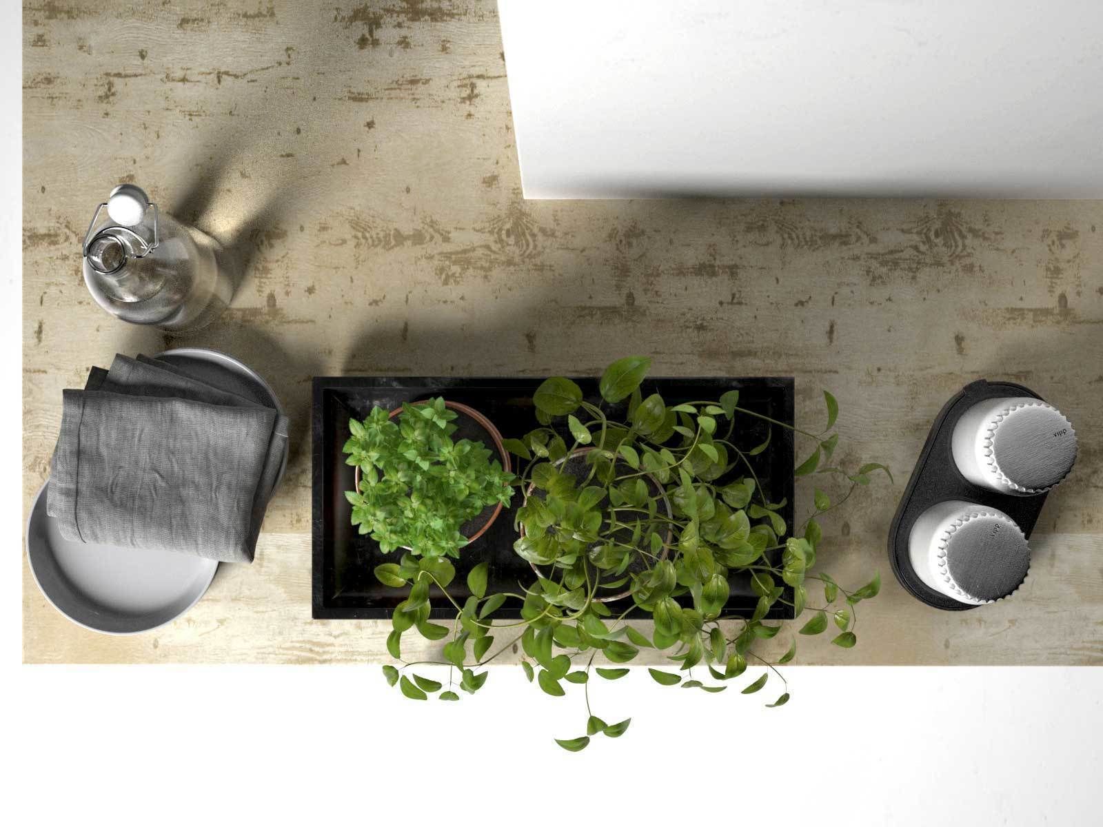 Bowls Napkin Bottles and Pots with Plants 3D model_1