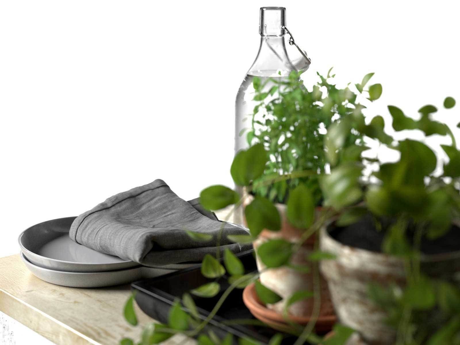 Bowls Napkin Bottles and Pots with Plants 3D model_2