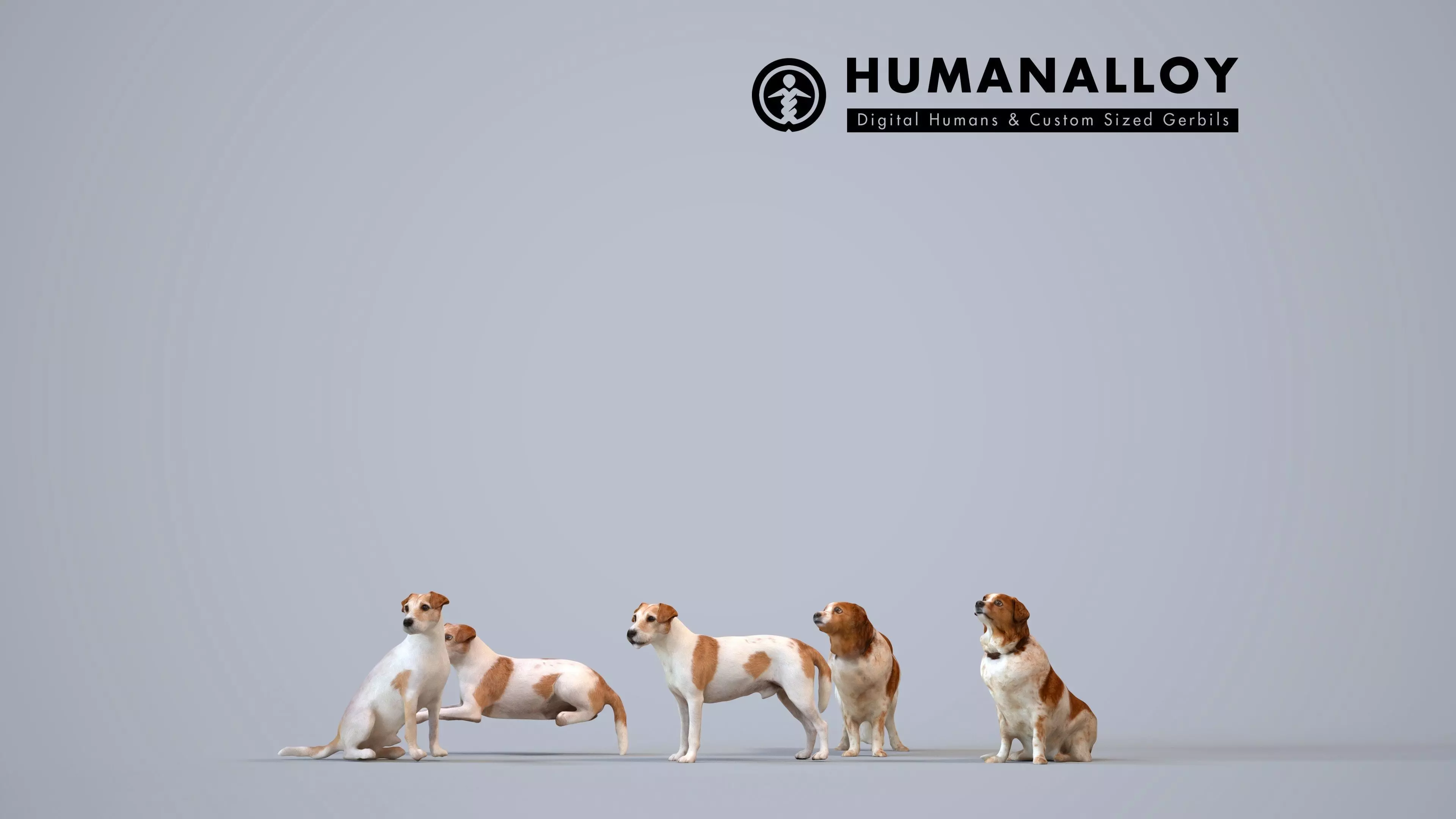 Basics0351 - A set containing 5 models of a dog 3D model