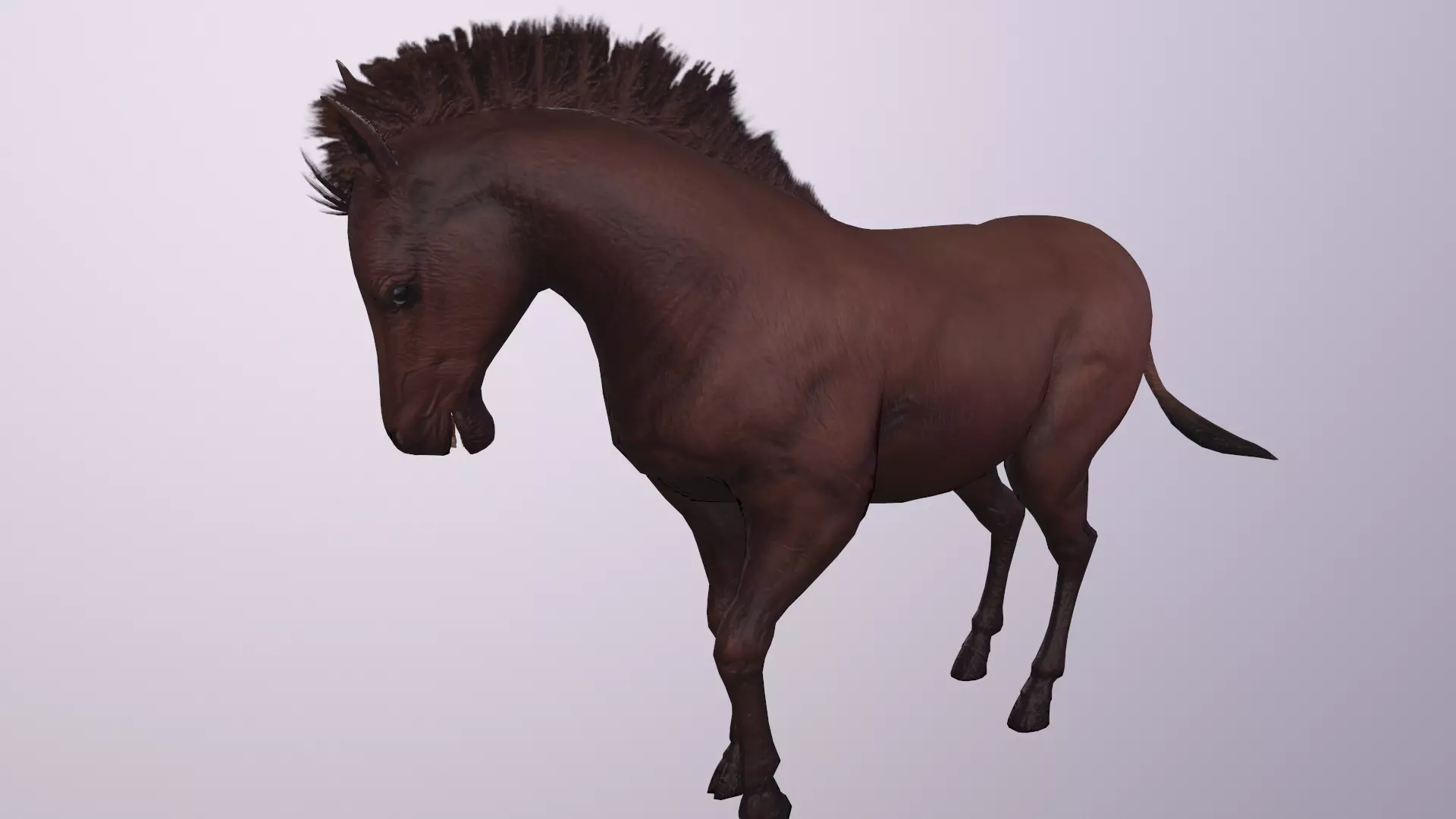 Red Zebra horse Animation Low-poly 3D model