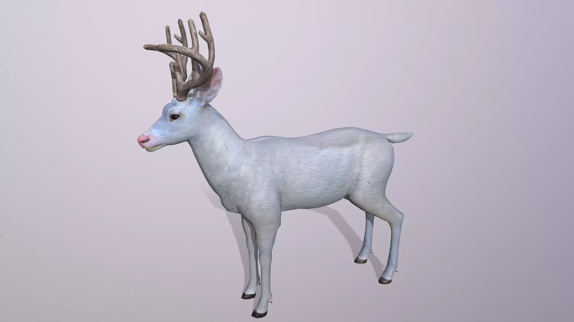 White deer Low-poly 3D model