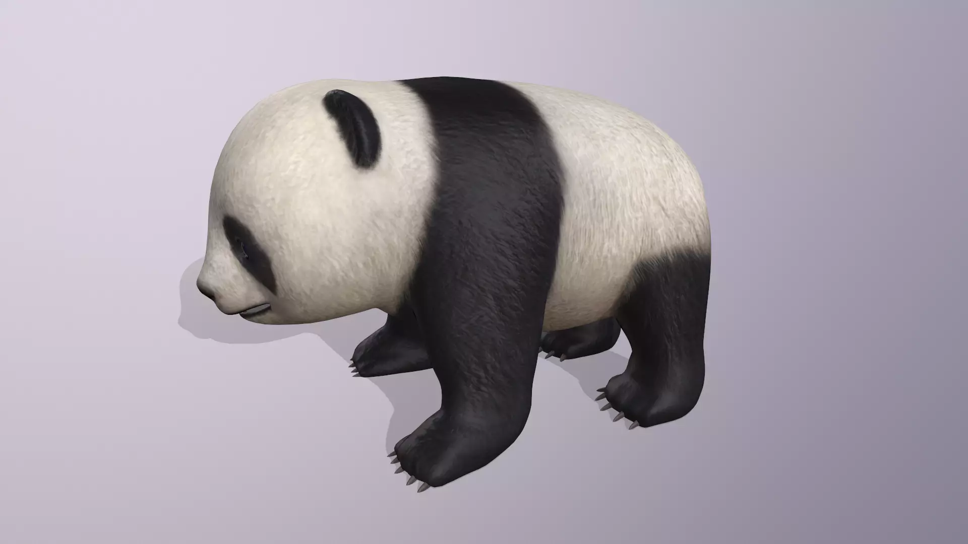 panda baby Low-poly 3D model