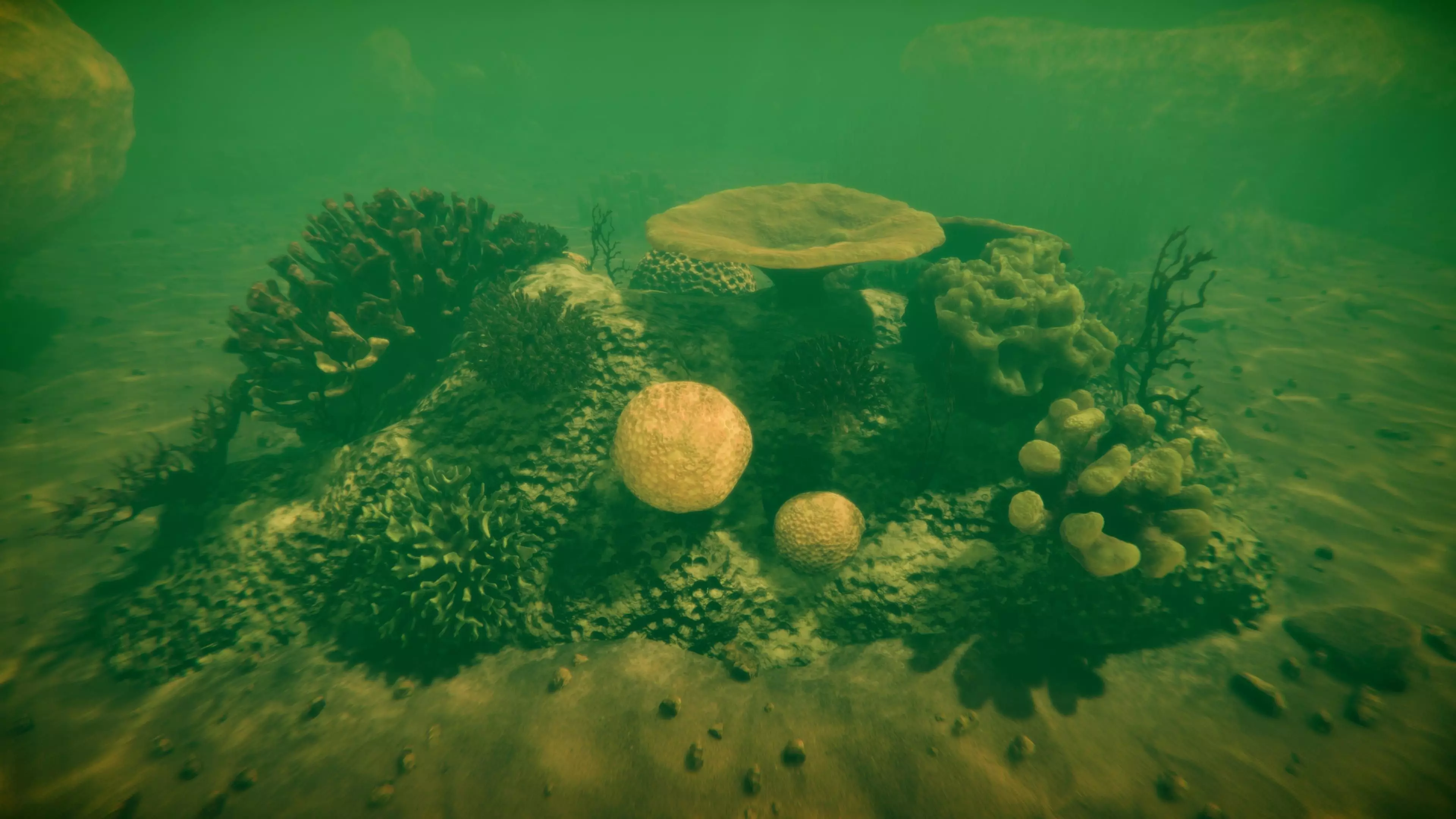 Corals Collection Low-poly 3D model