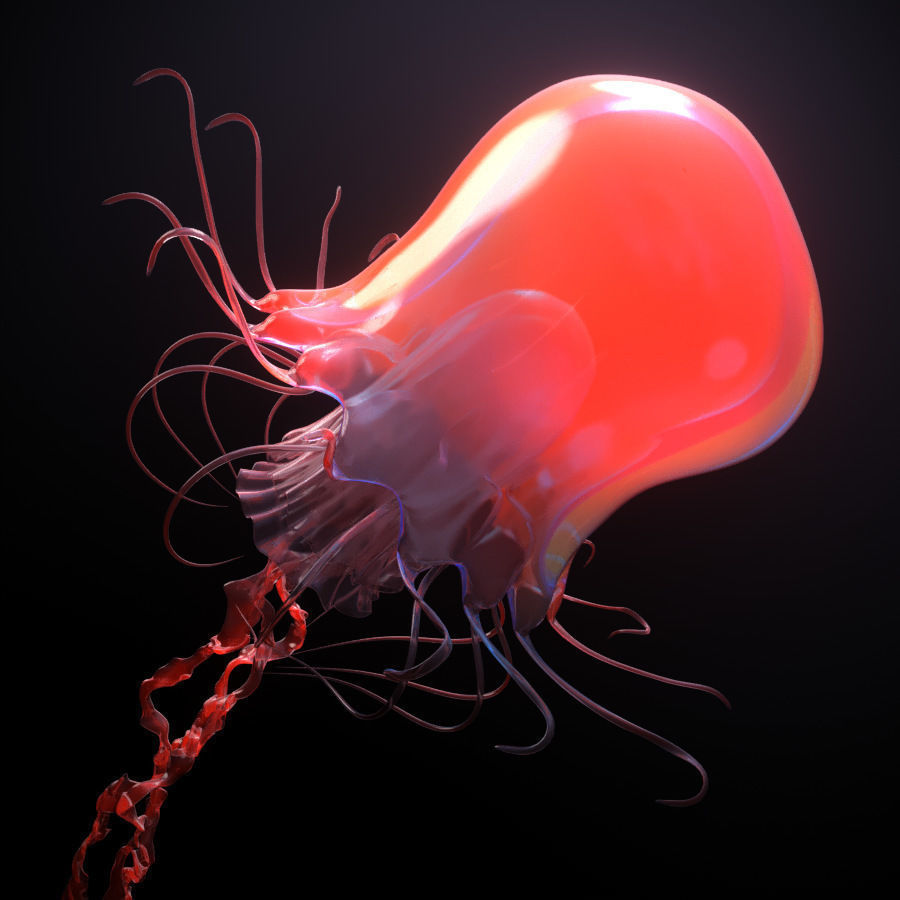 Jellyfish rigged animated 3D model_4