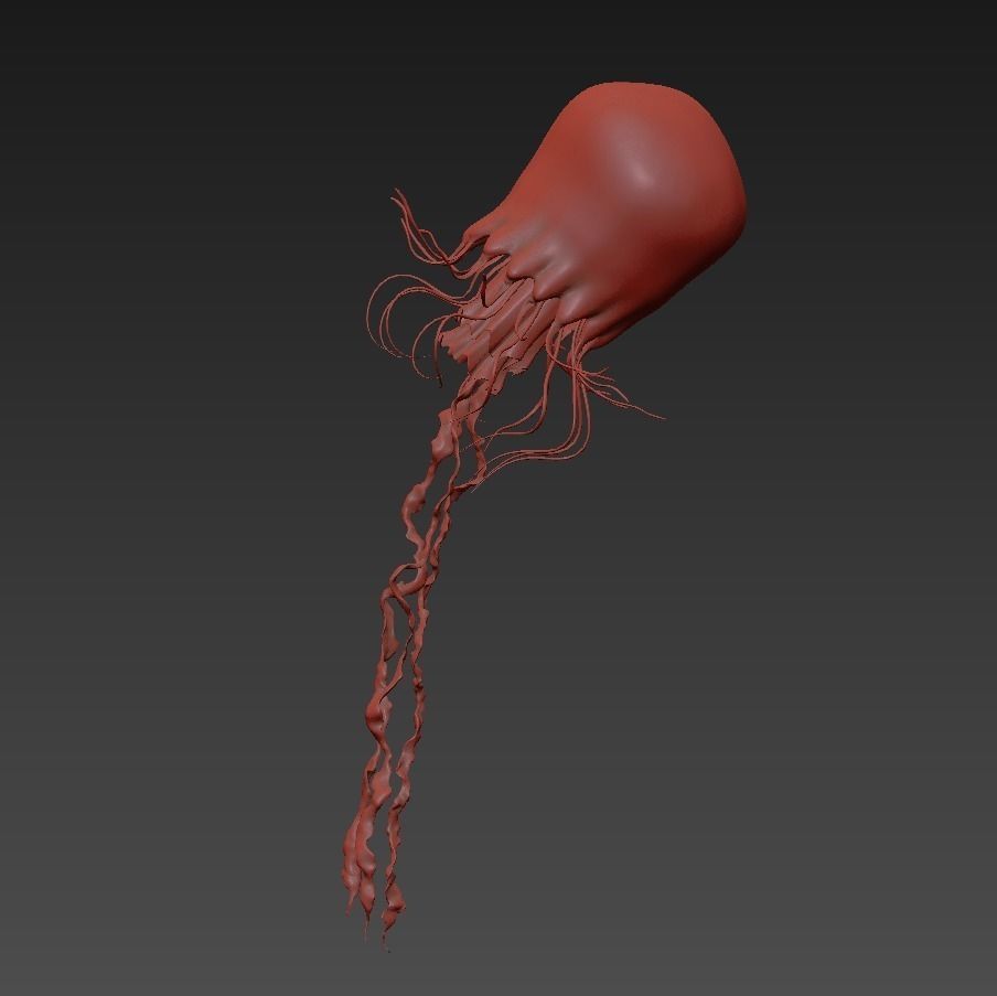 Jellyfish rigged animated 3D model_21