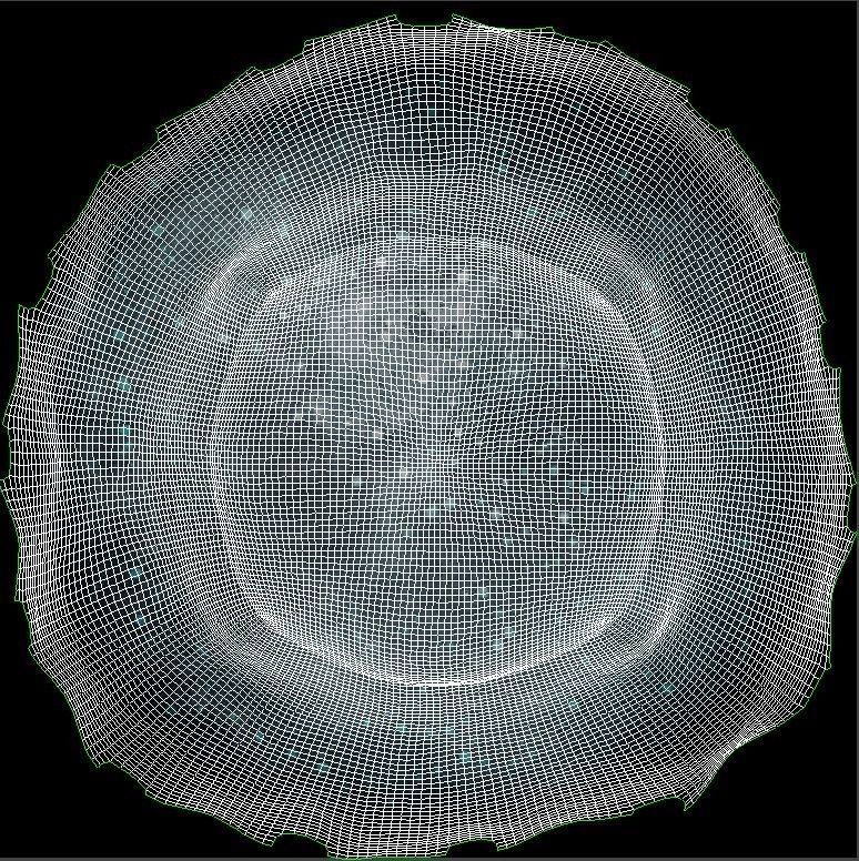 Jellyfish rigged animated 3D model_18