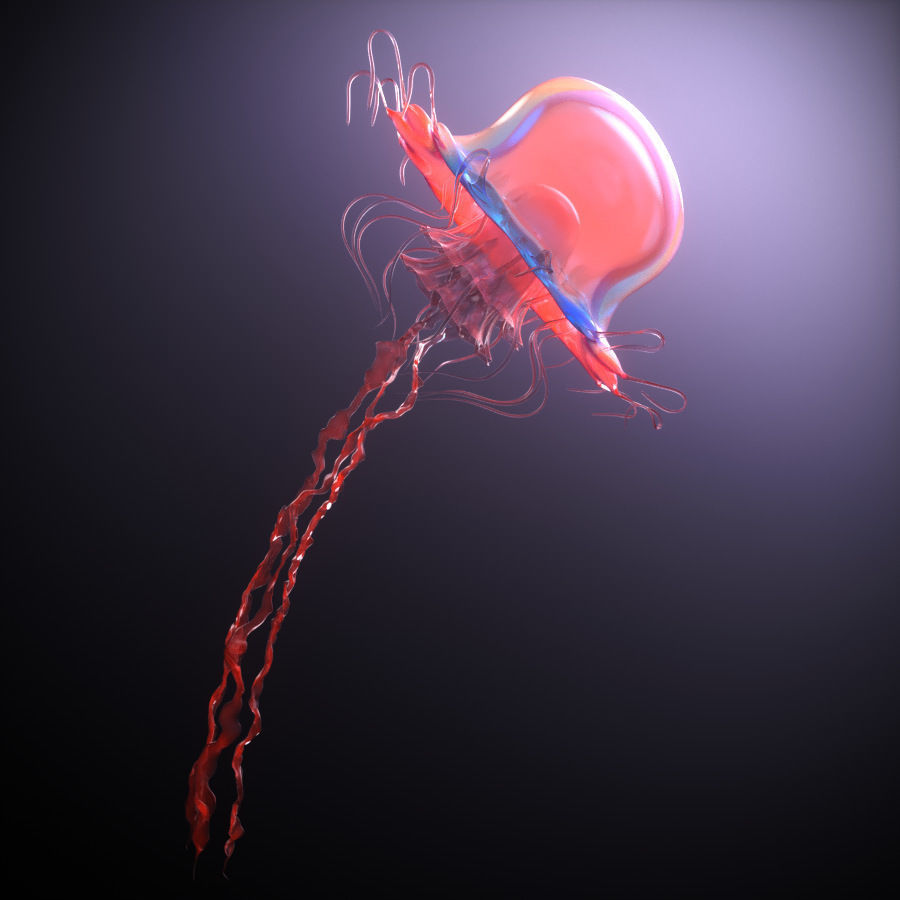 Jellyfish rigged animated 3D model_3