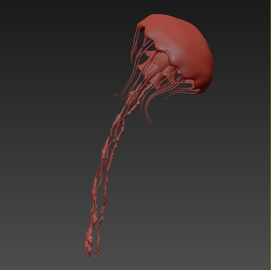 Jellyfish rigged animated 3D model_22