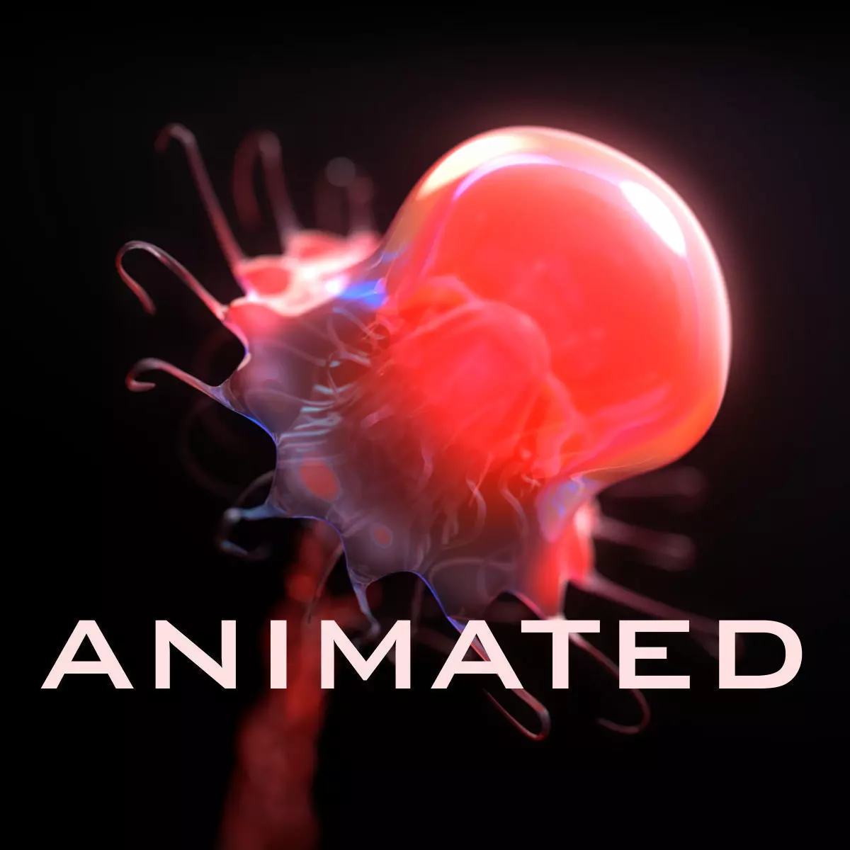 Jellyfish rigged animated 3D model_0