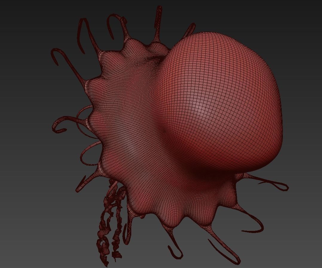 Jellyfish rigged animated 3D model_12
