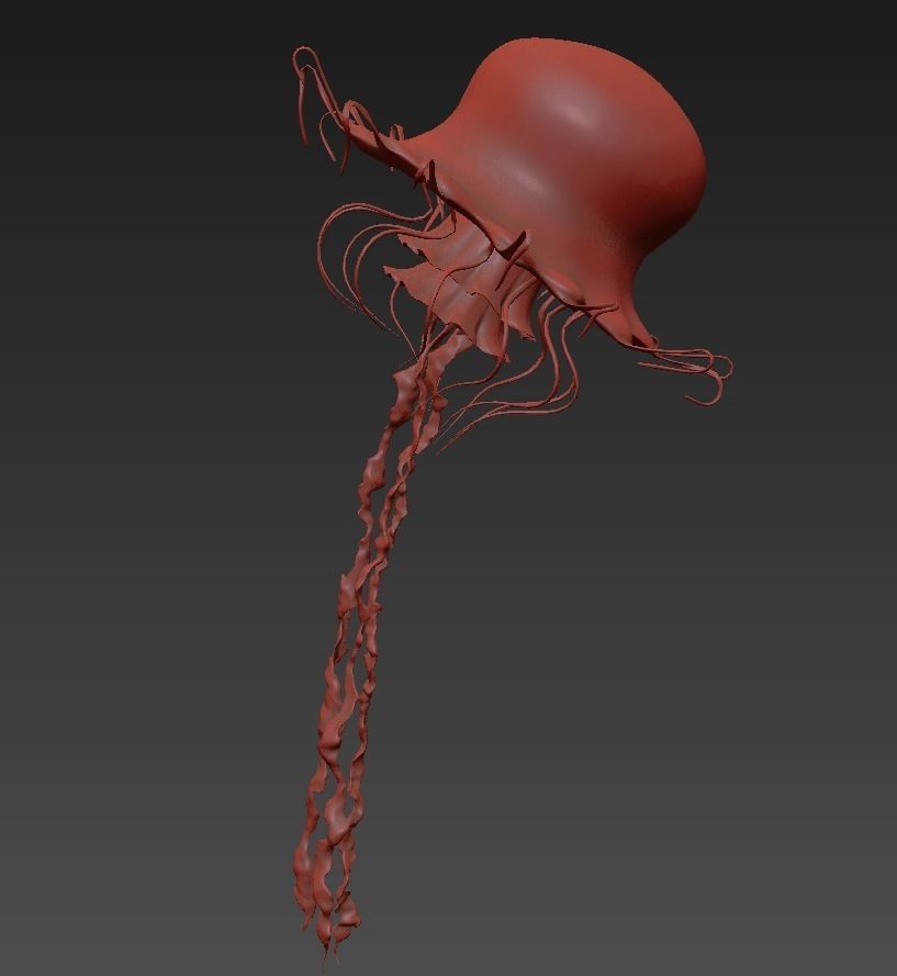 Jellyfish rigged animated 3D model_15