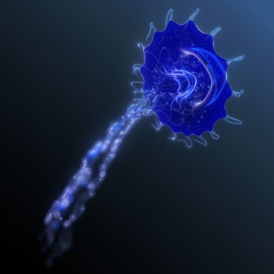 Jellyfish rigged animated 3D model_8