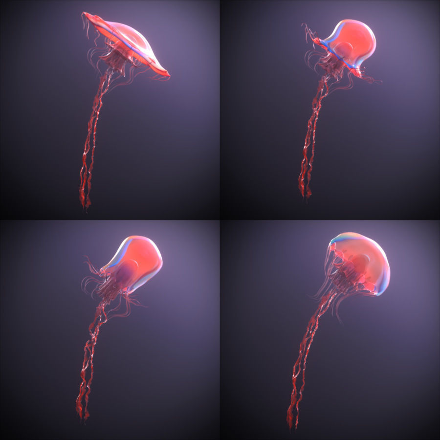 Jellyfish rigged animated 3D model_6