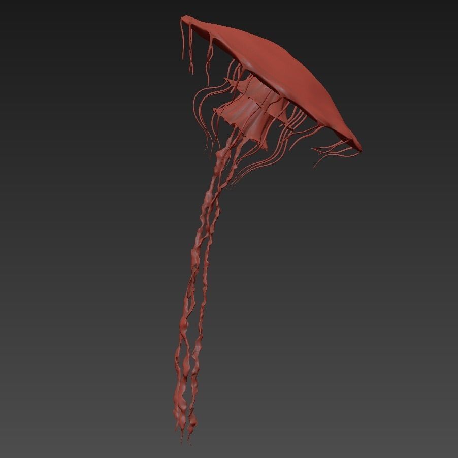 Jellyfish rigged animated 3D model_19