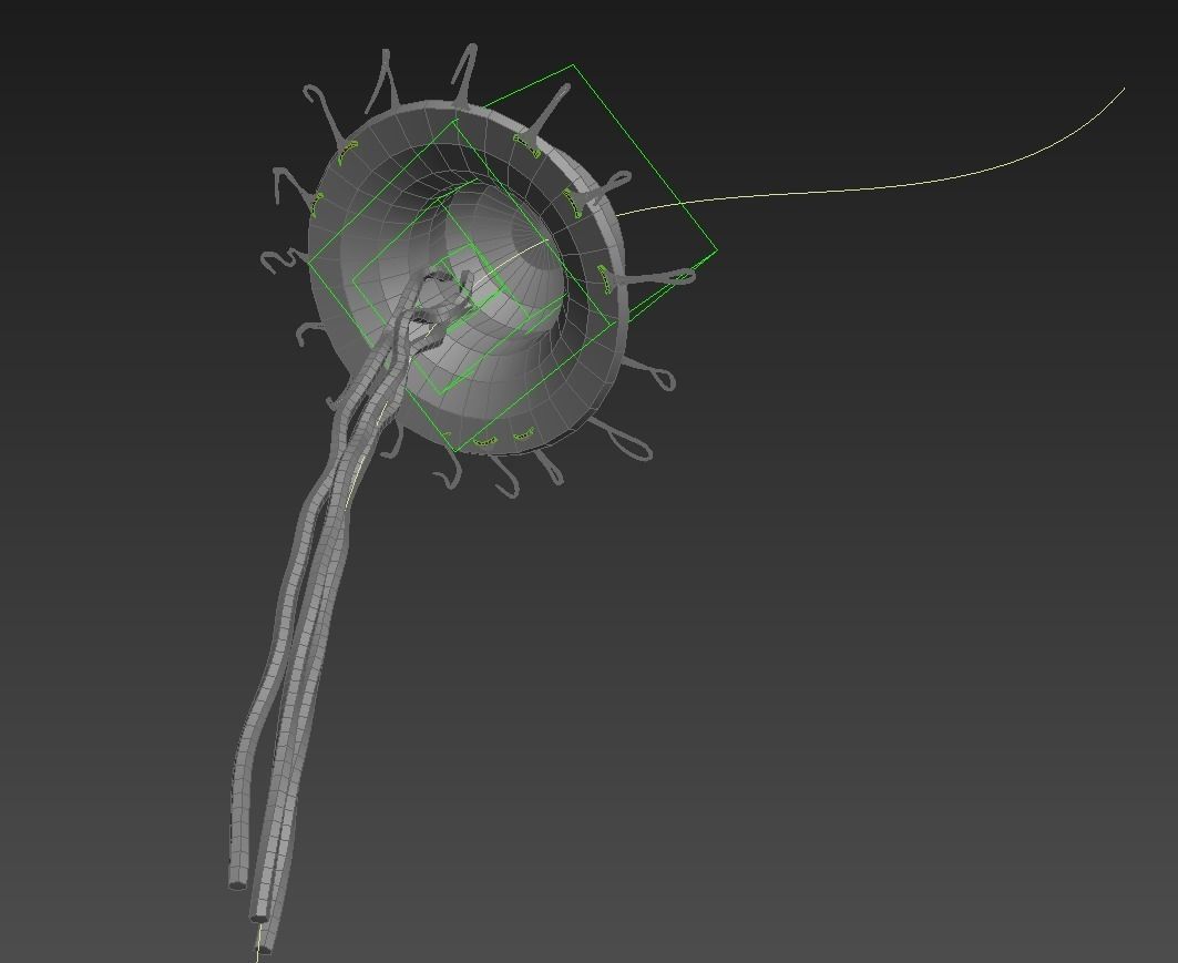 Jellyfish rigged animated 3D model_17